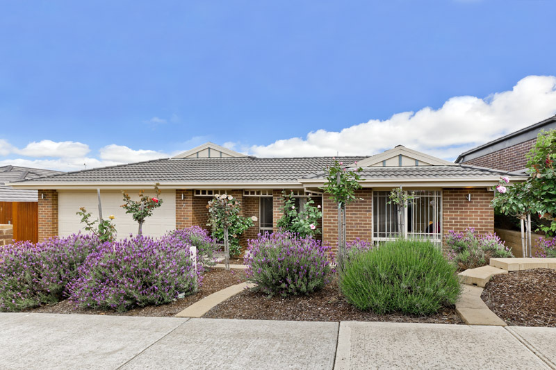 7 vaucluse rise