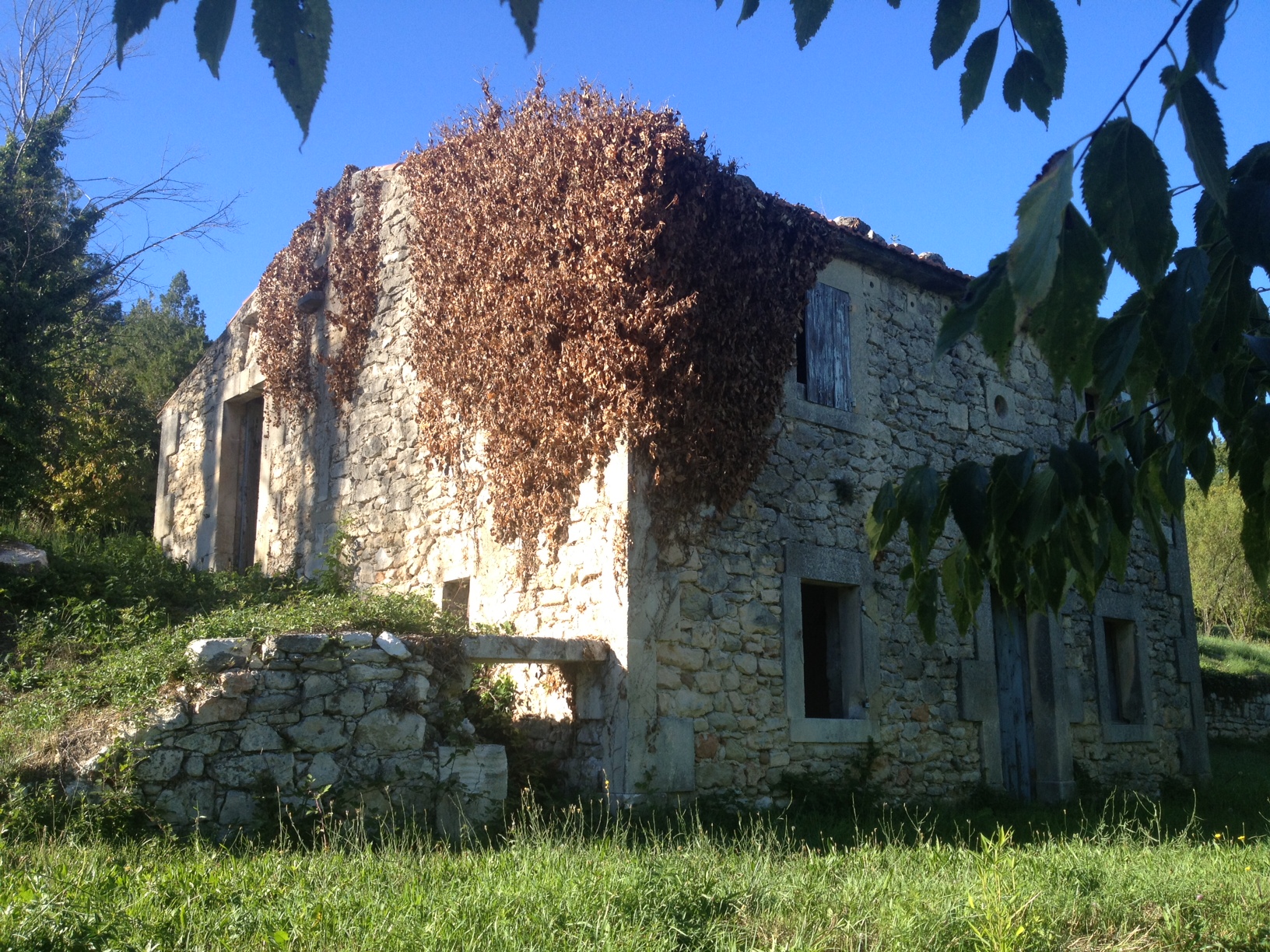 a restaurer vaucluse