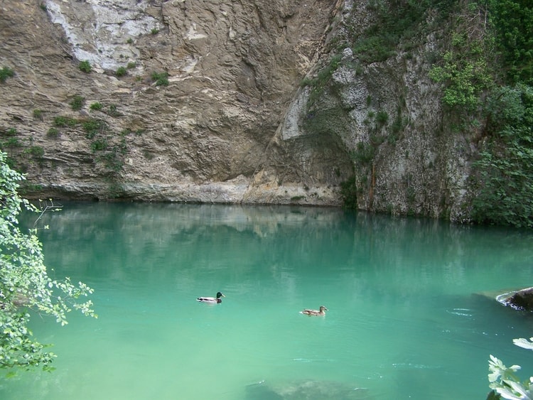 a vaucluse