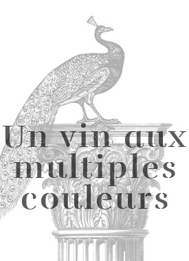 agence s avignon