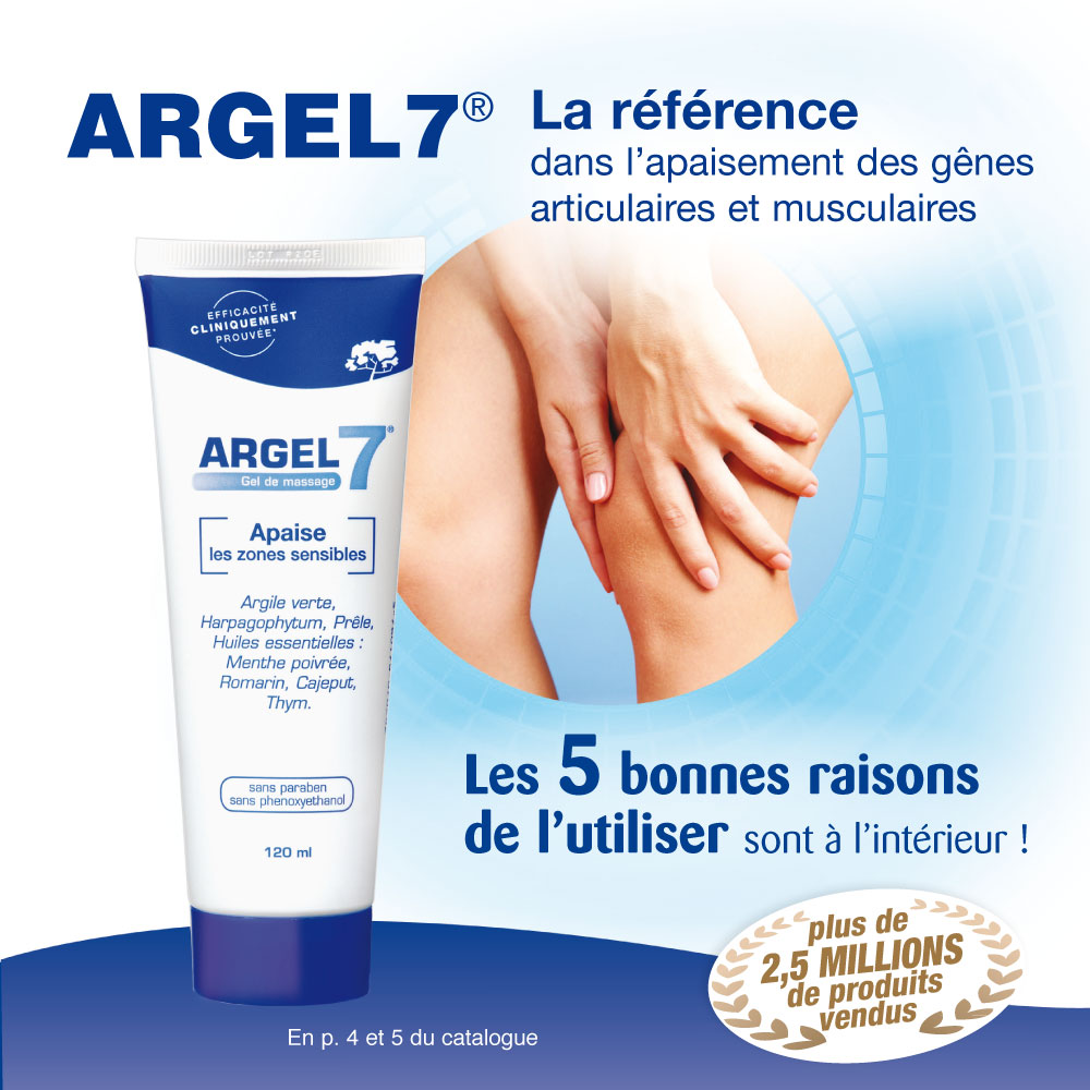 argel 7 avignon