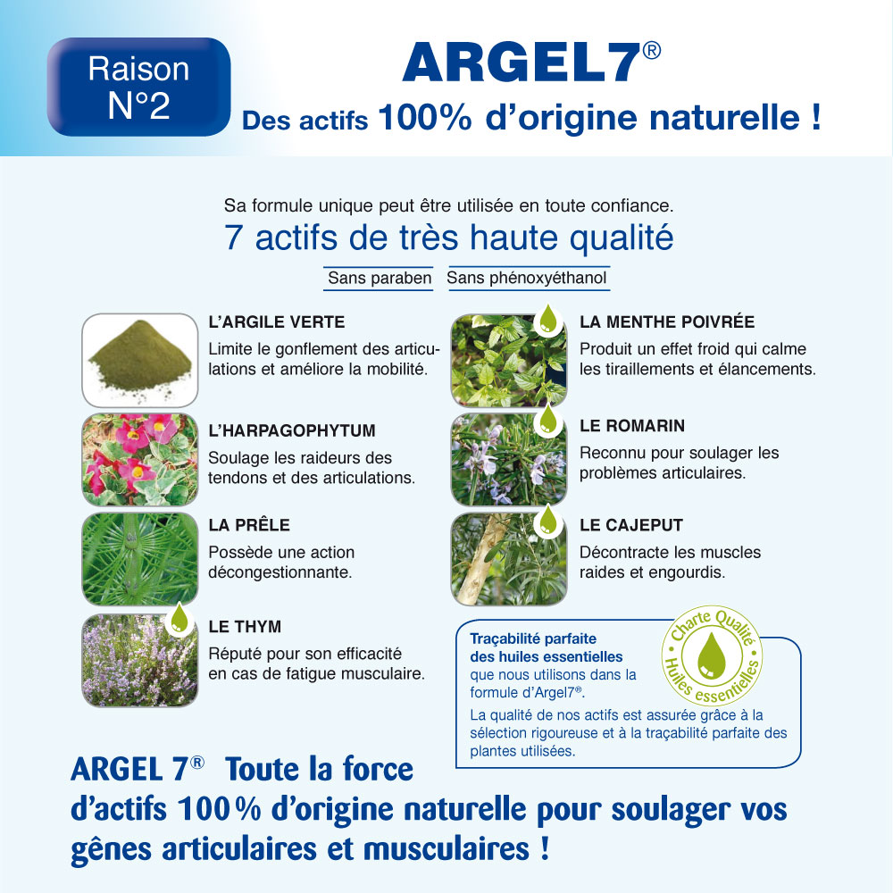 argile 7 avignon