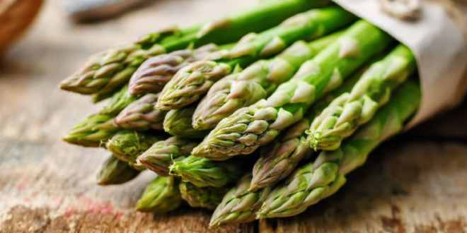 avignon 21 avril 2018