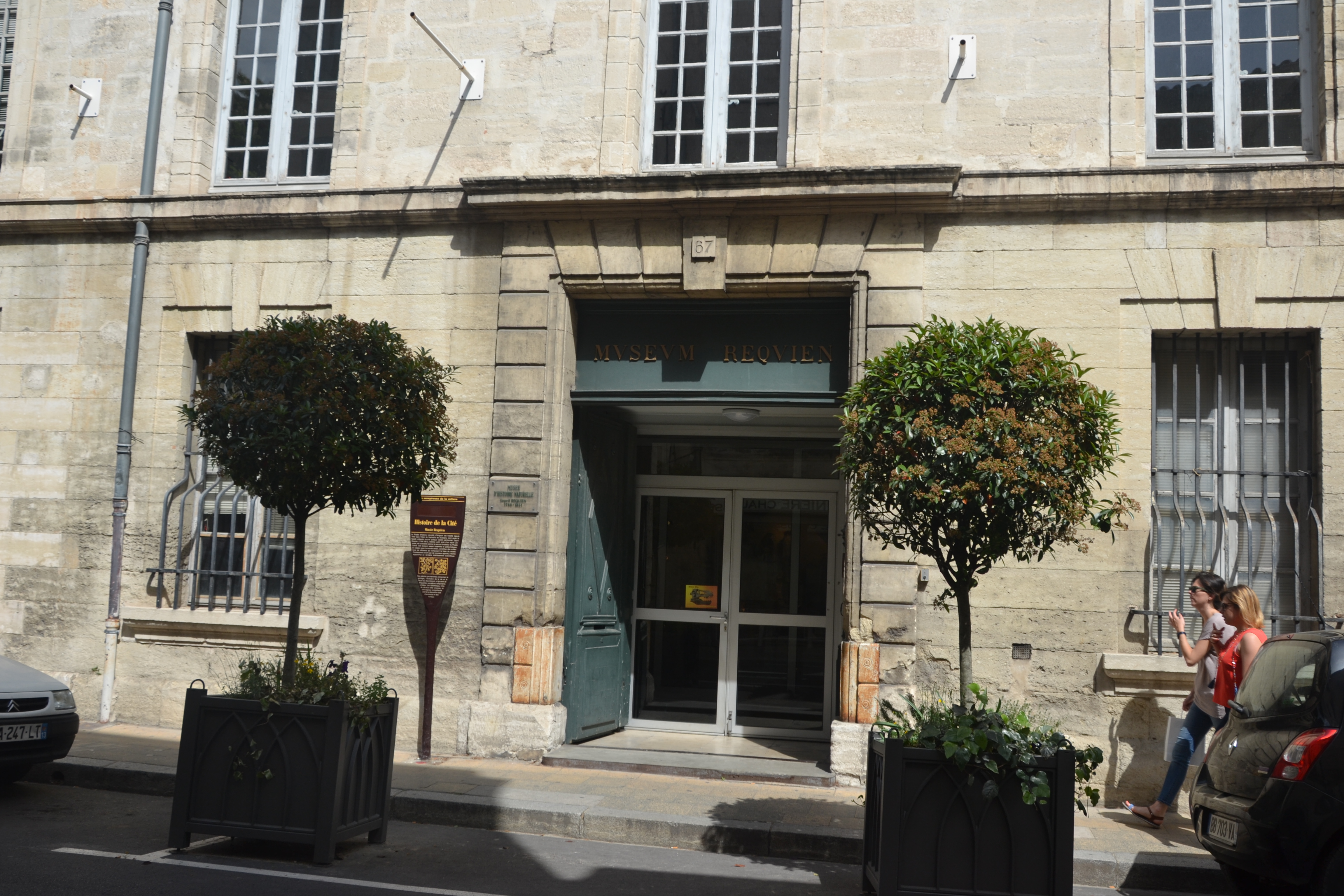 avignon 3