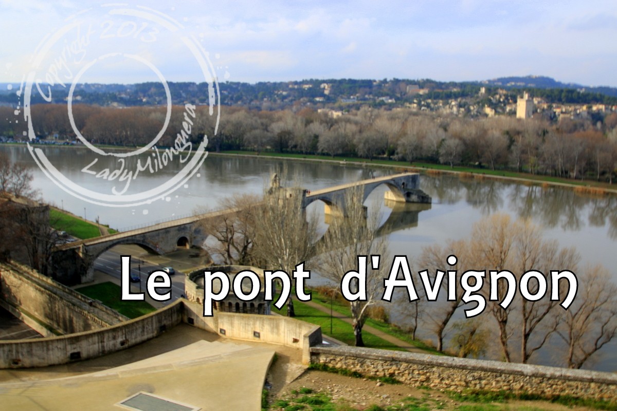avignon 3d google