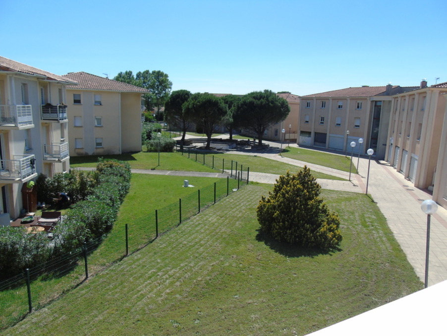 avignon 49