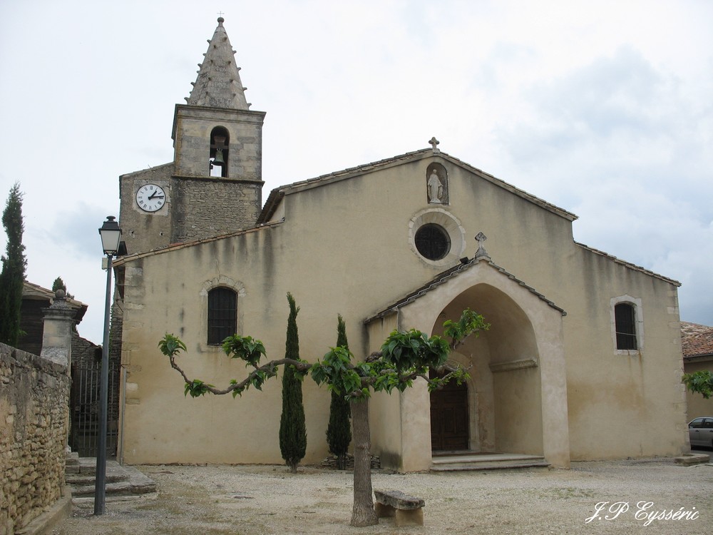 avignon 59