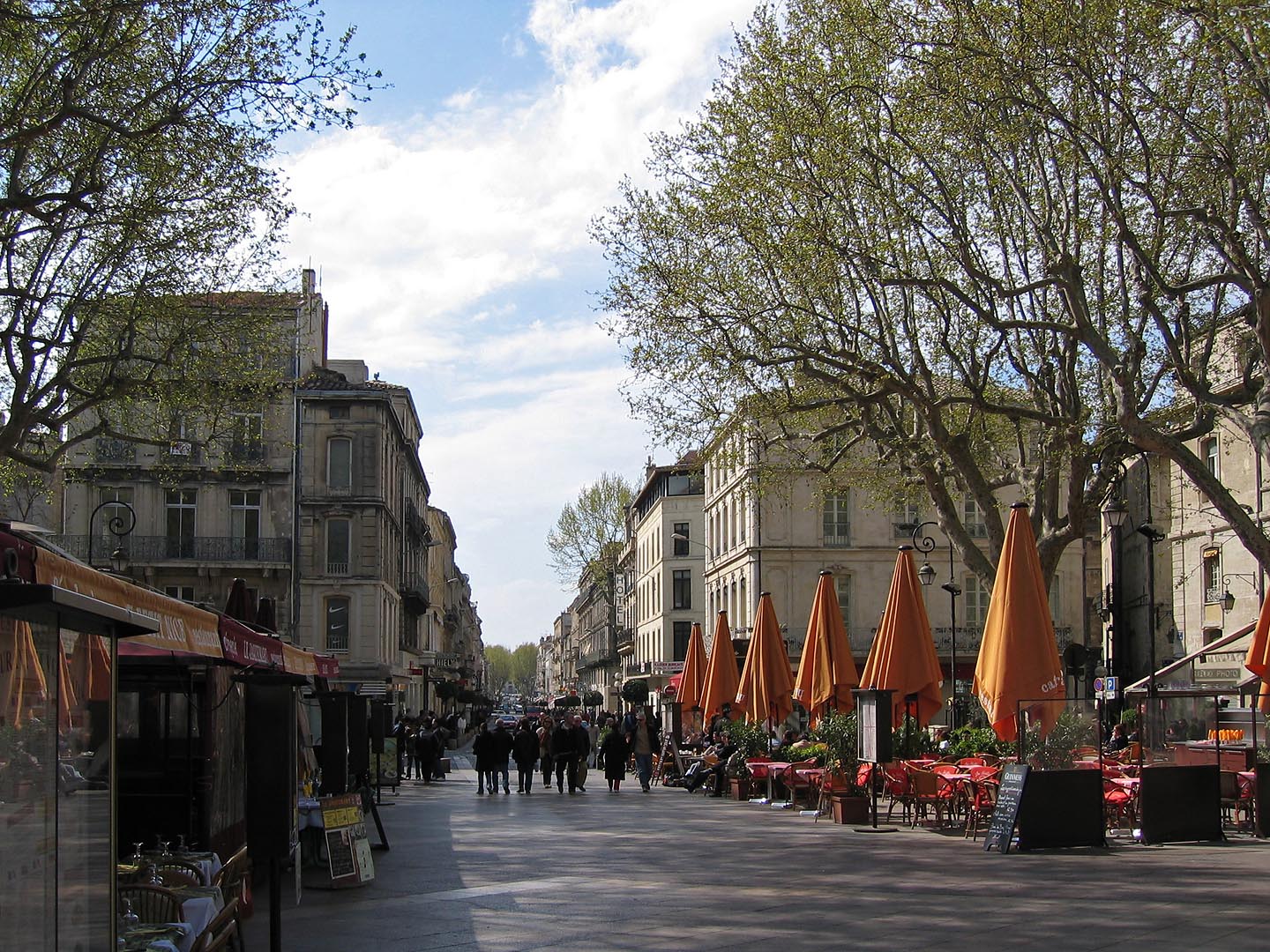 avignon 59