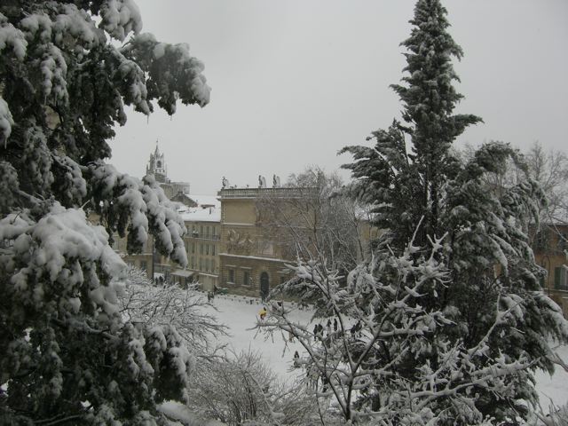 avignon 8 janvier