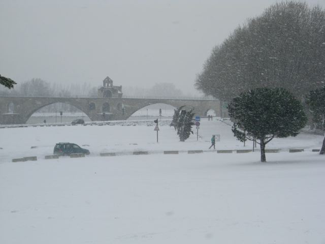 avignon 8 janvier