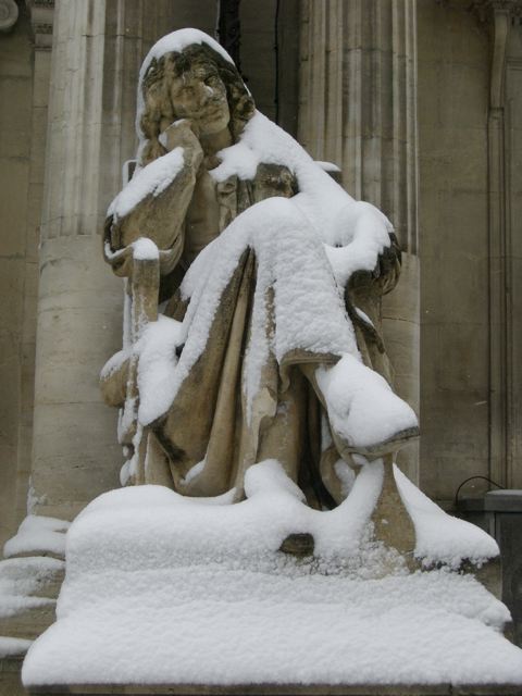 avignon 8 janvier