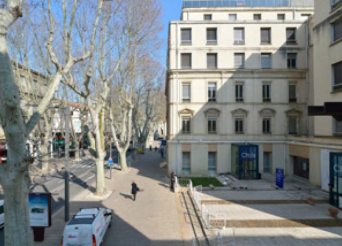 avignon 84
