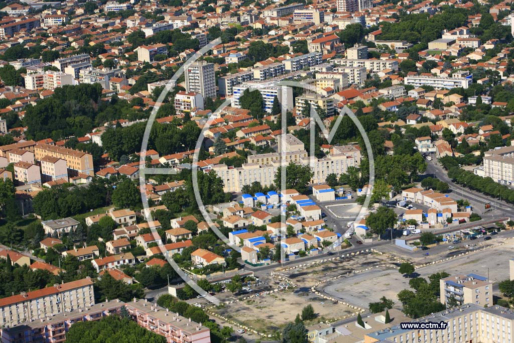 avignon 84
