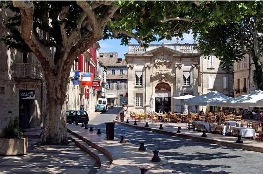 avignon 84