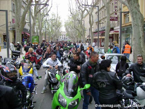avignon 84