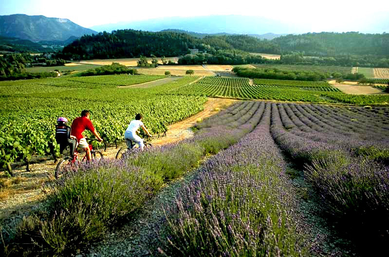 avignon a velo