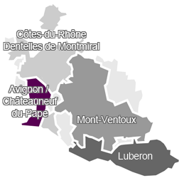avignon agenda