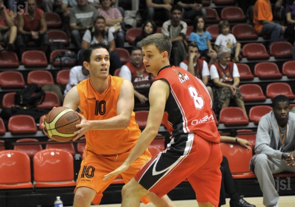 avignon basket