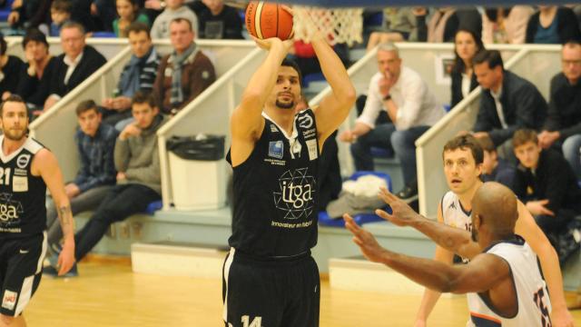 avignon basket
