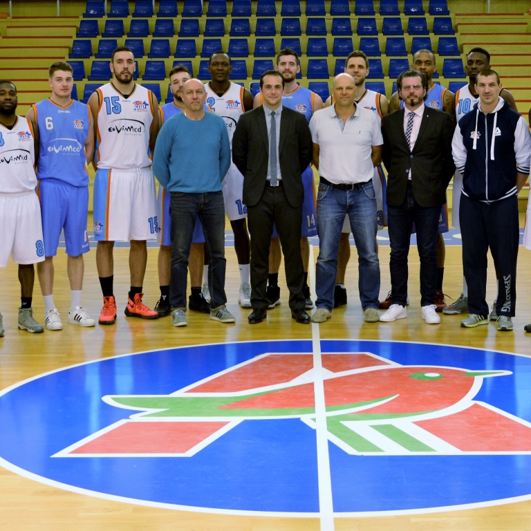 avignon basket