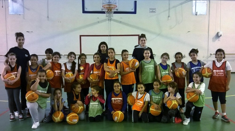 avignon basket