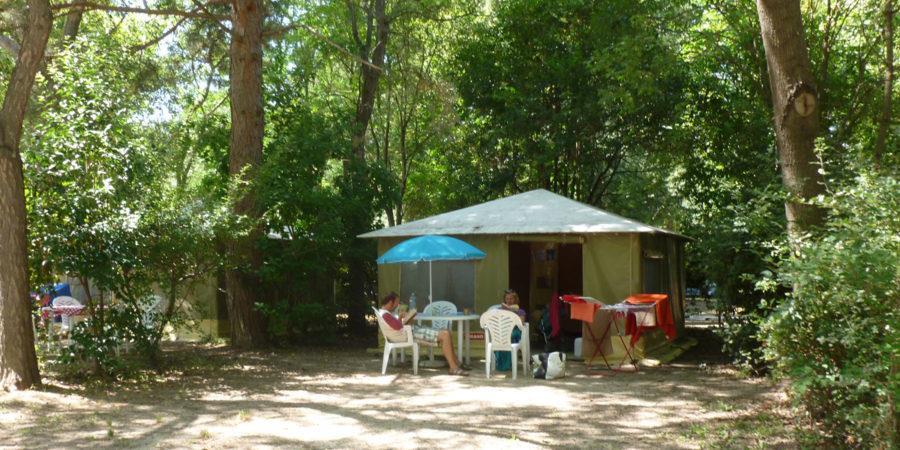 avignon camping