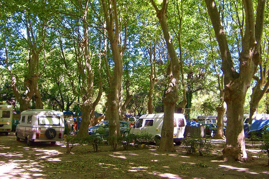 avignon camping
