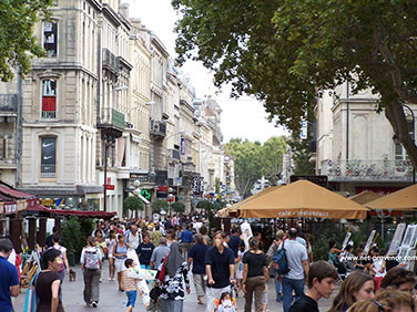 avignon centre