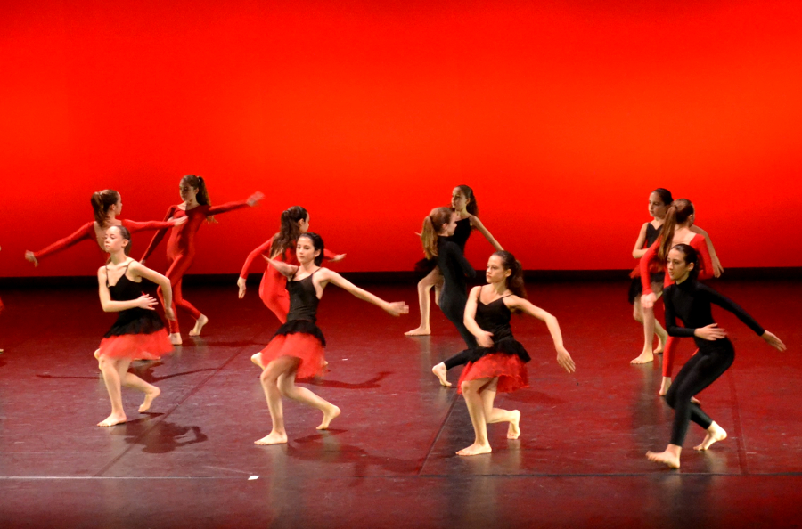 avignon danse