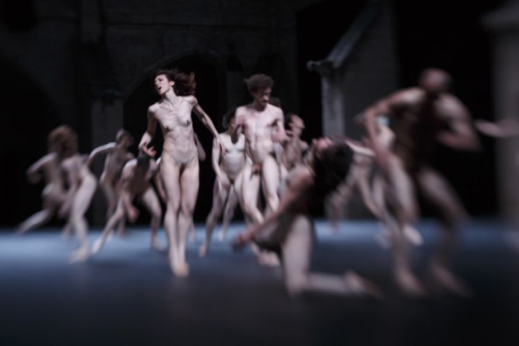 avignon danse