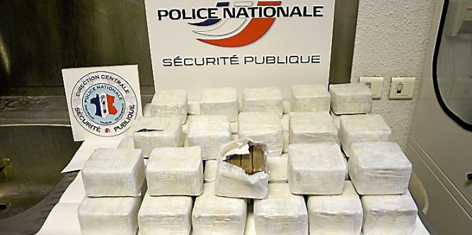avignon drogue