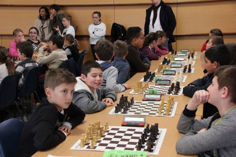 avignon echecs