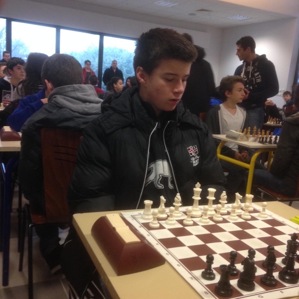 avignon echecs