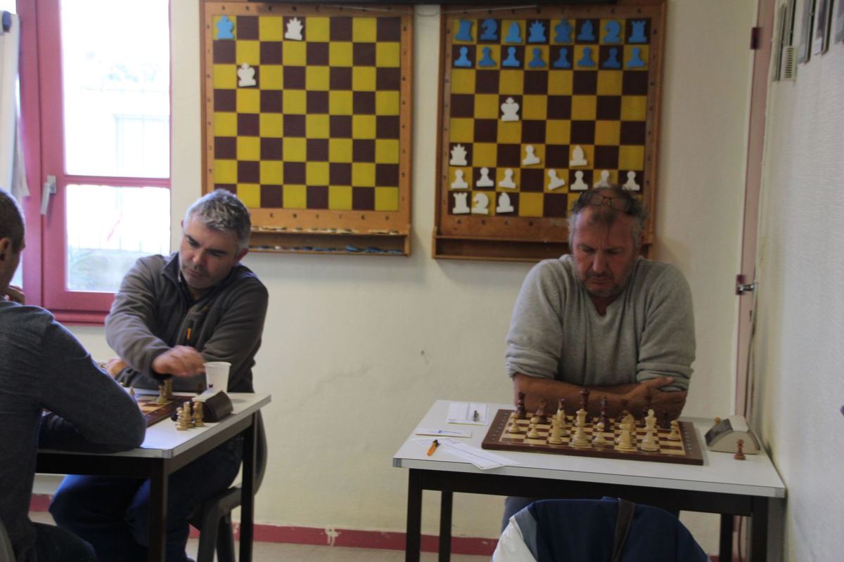 avignon echecs
