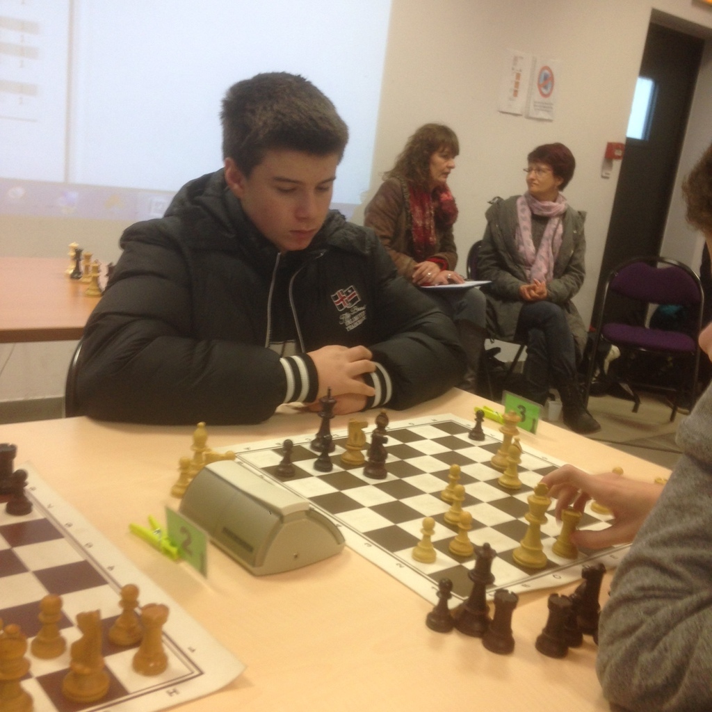 avignon echecs