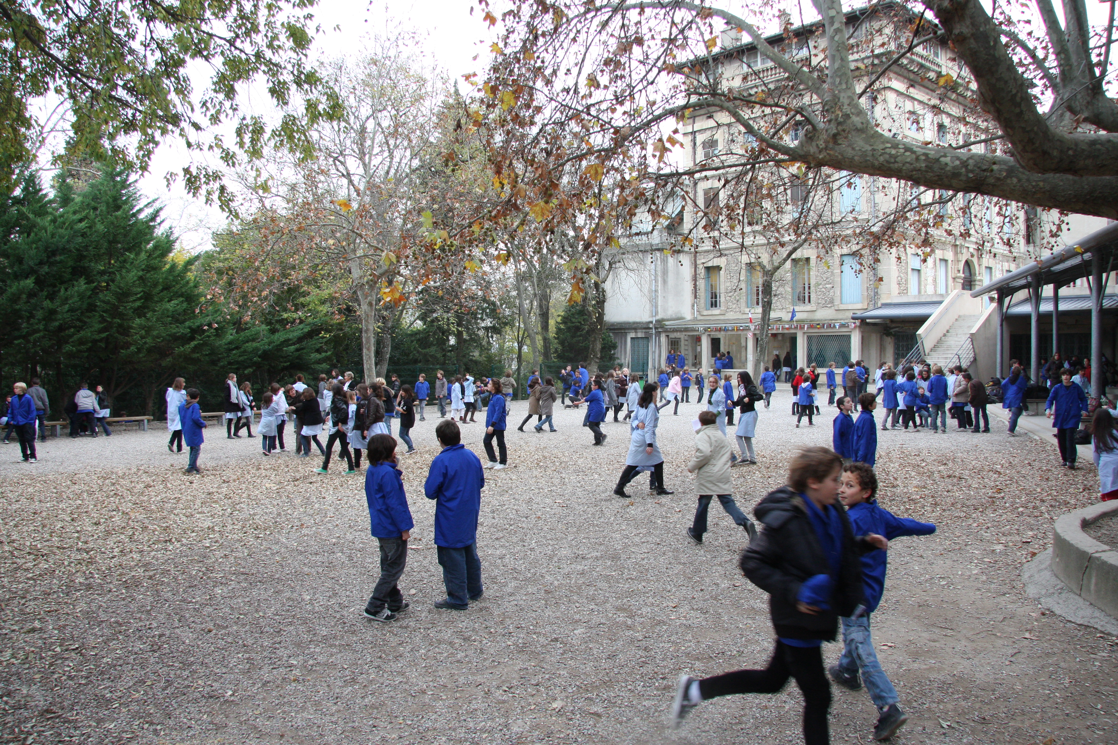 avignon ecoles primaires