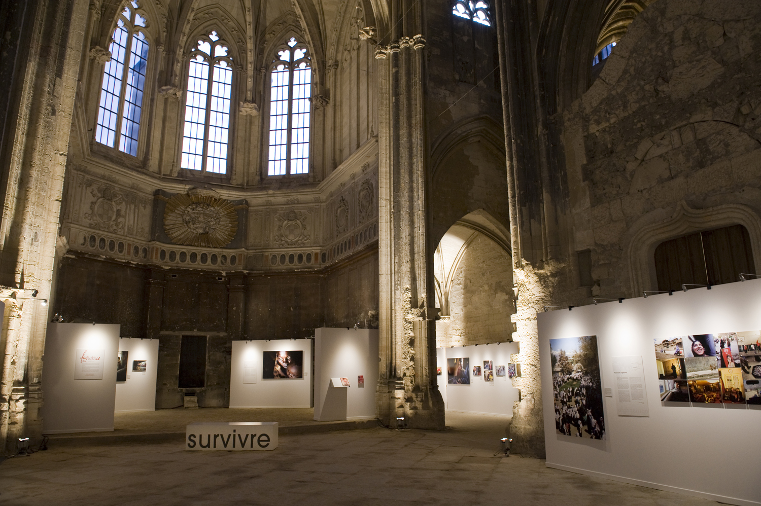 avignon eglise des celestins