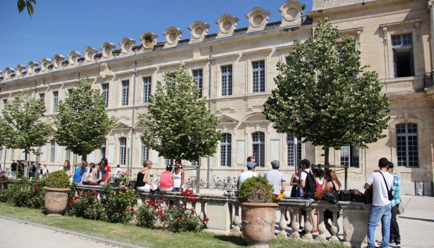 avignon fac de droit