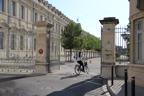 avignon fac de droit