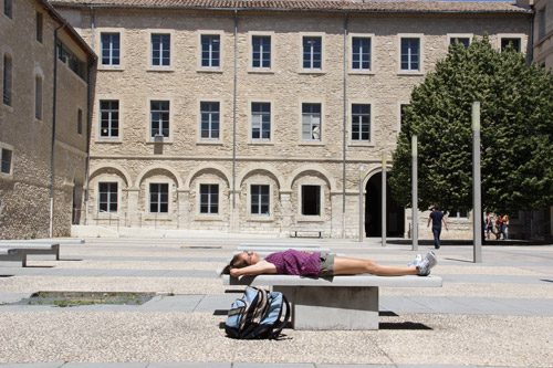 avignon fac de droit