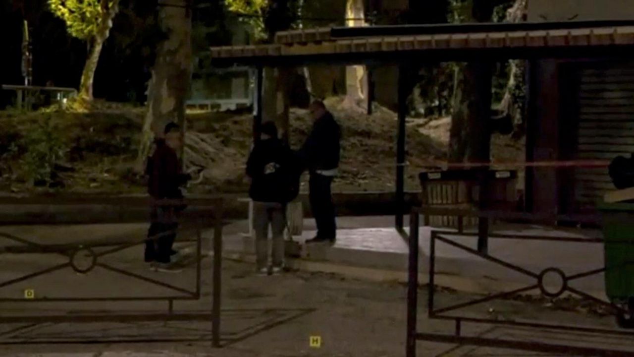 avignon fusillade