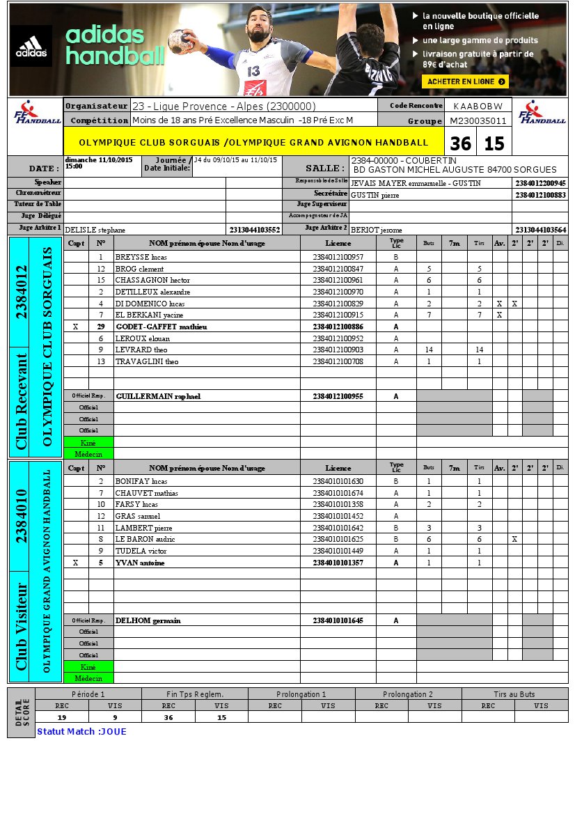 avignon handball