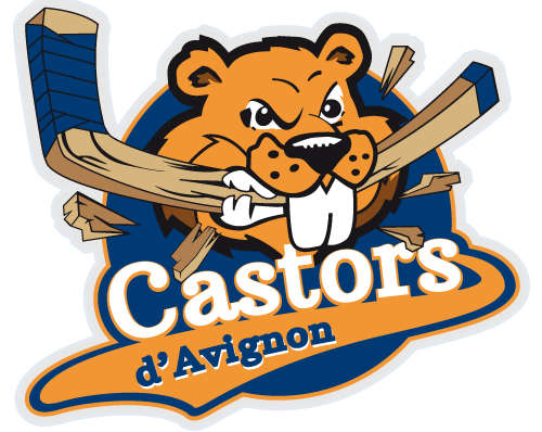 avignon hockey