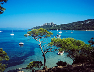 avignon hyeres