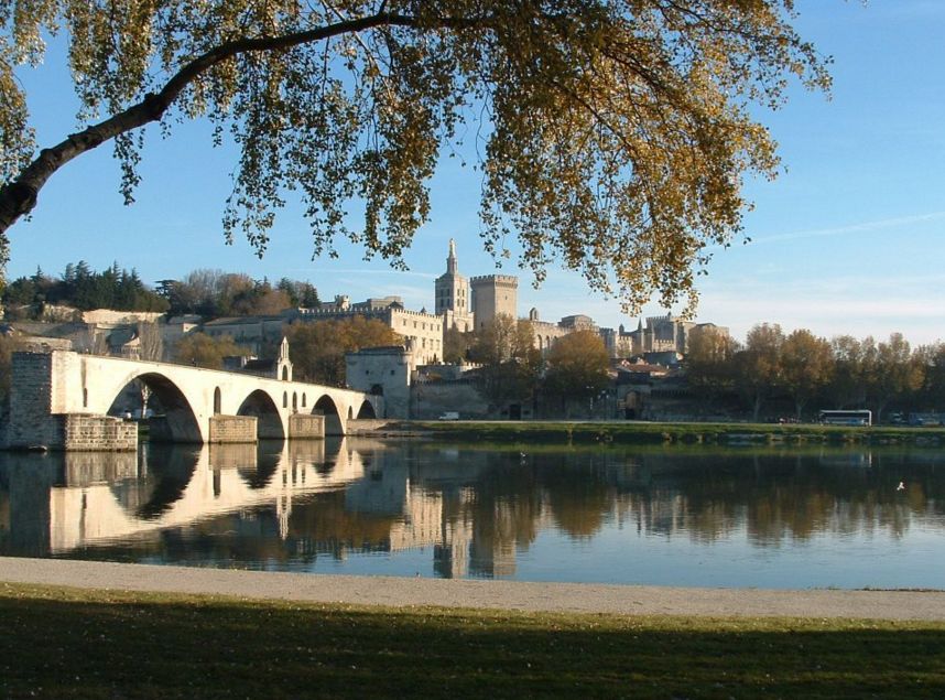 avignon ile de la barthelasse
