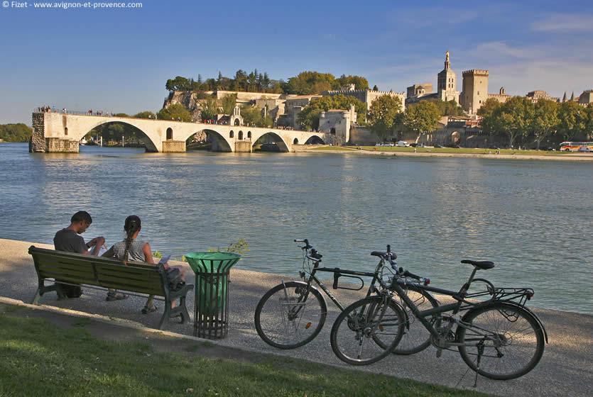 avignon ile de la barthelasse
