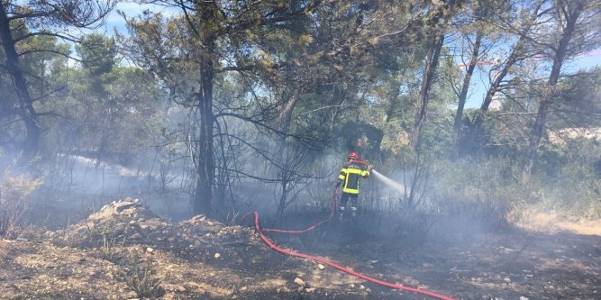 avignon incendie