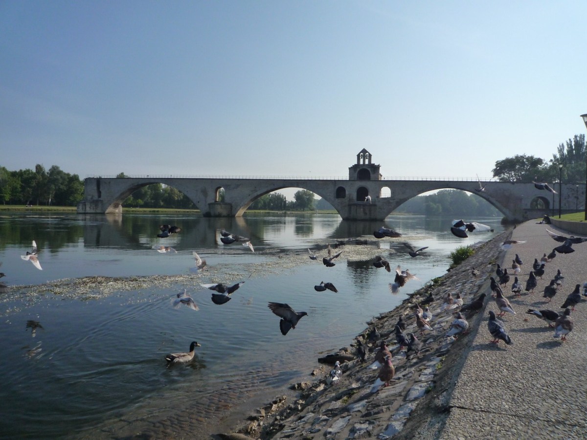 avignon incontournables