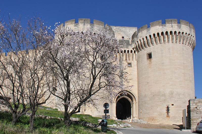 avignon info