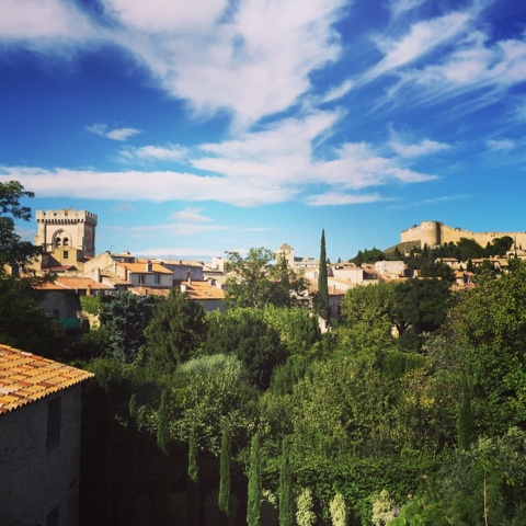 avignon instagram